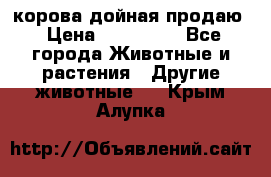 корова дойная продаю › Цена ­ 100 000 - Все города Животные и растения » Другие животные   . Крым,Алупка